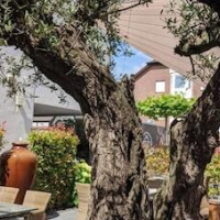 Hotel und Restaurant Schmachtendorf – Affordable hotel in Oberhausen