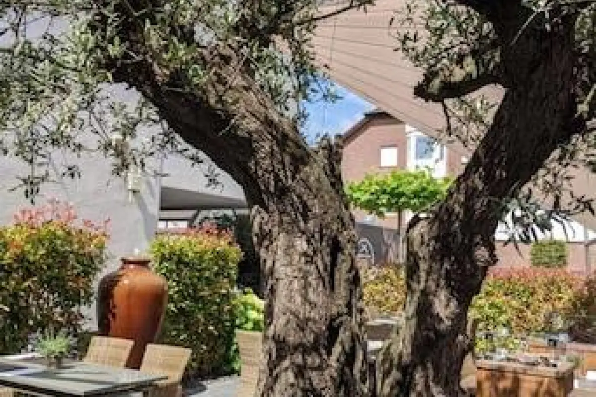 Hotel und Restaurant Schmachtendorf – Affordable hotel in Oberhausen