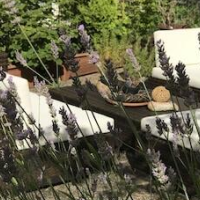 Hotel Cascade – Affordable hotel in Düsseldorf