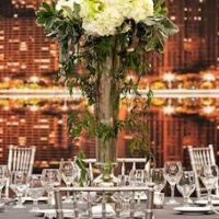 Hilton Chicago/Magnificent Mile Suites – Affordable hotel in Chicago