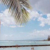 Royal Grove Waikiki – Affordable hotel in Honolulu
