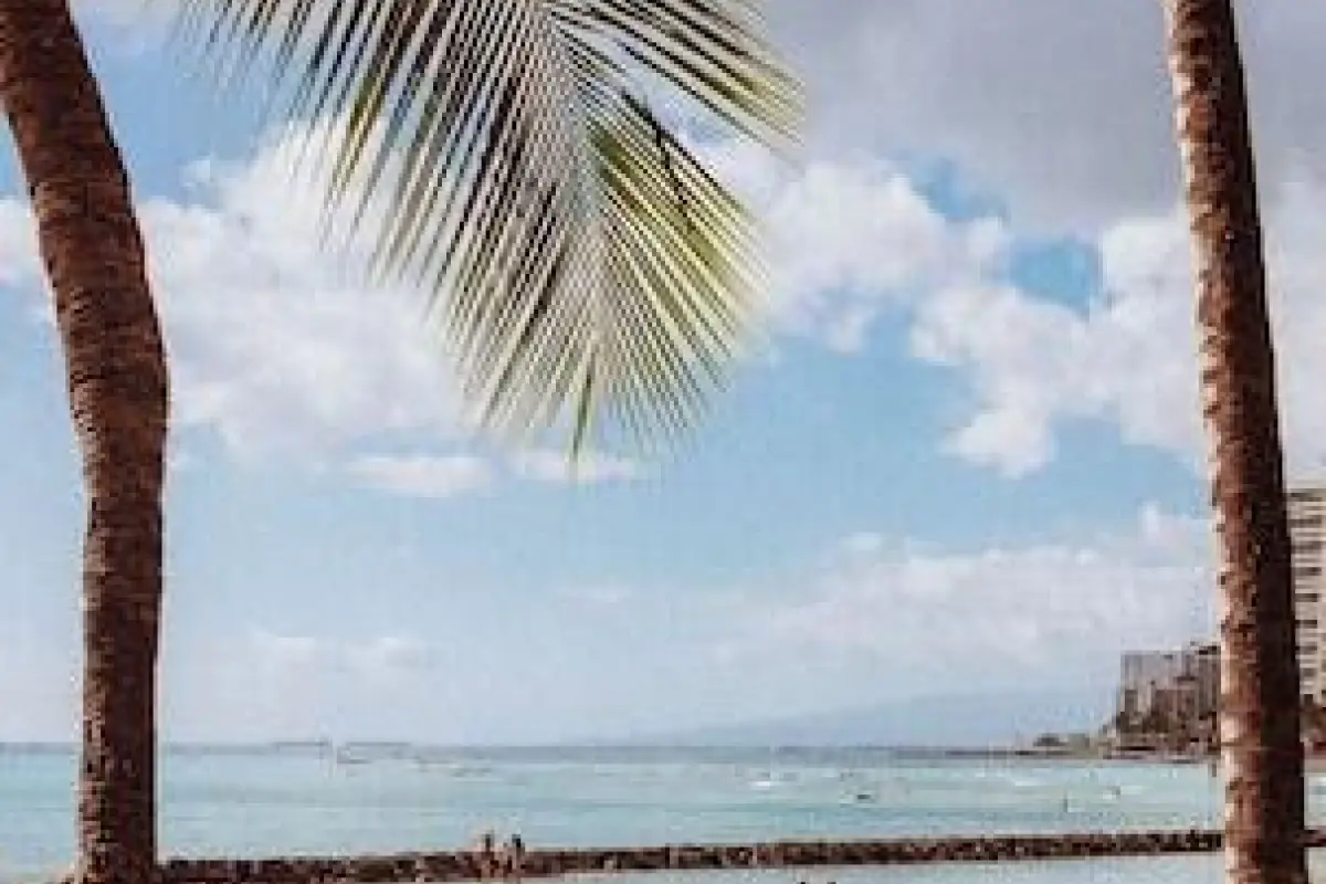 Royal Grove Waikiki – Affordable hotel in Honolulu