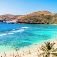 Ilikai Hotel Condo at Waikiki No Parking – Affordable hotel in Honolulu