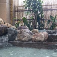 Dormy Inn Kawasaki Natural Hot Spring – Affordable hotel in Kawasaki