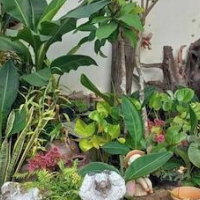 OYO 75524 SK Resort – Affordable hotel in Nuea Khlong