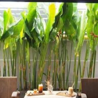 Jowa Hotel – Affordable hotel in Chiang Mai