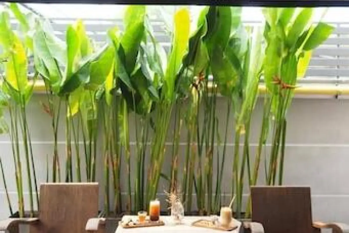 Jowa Hotel – Affordable hotel in Chiang Mai