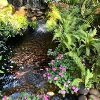 Rich Garden House Hotel – Affordable hotel in Chiang Mai