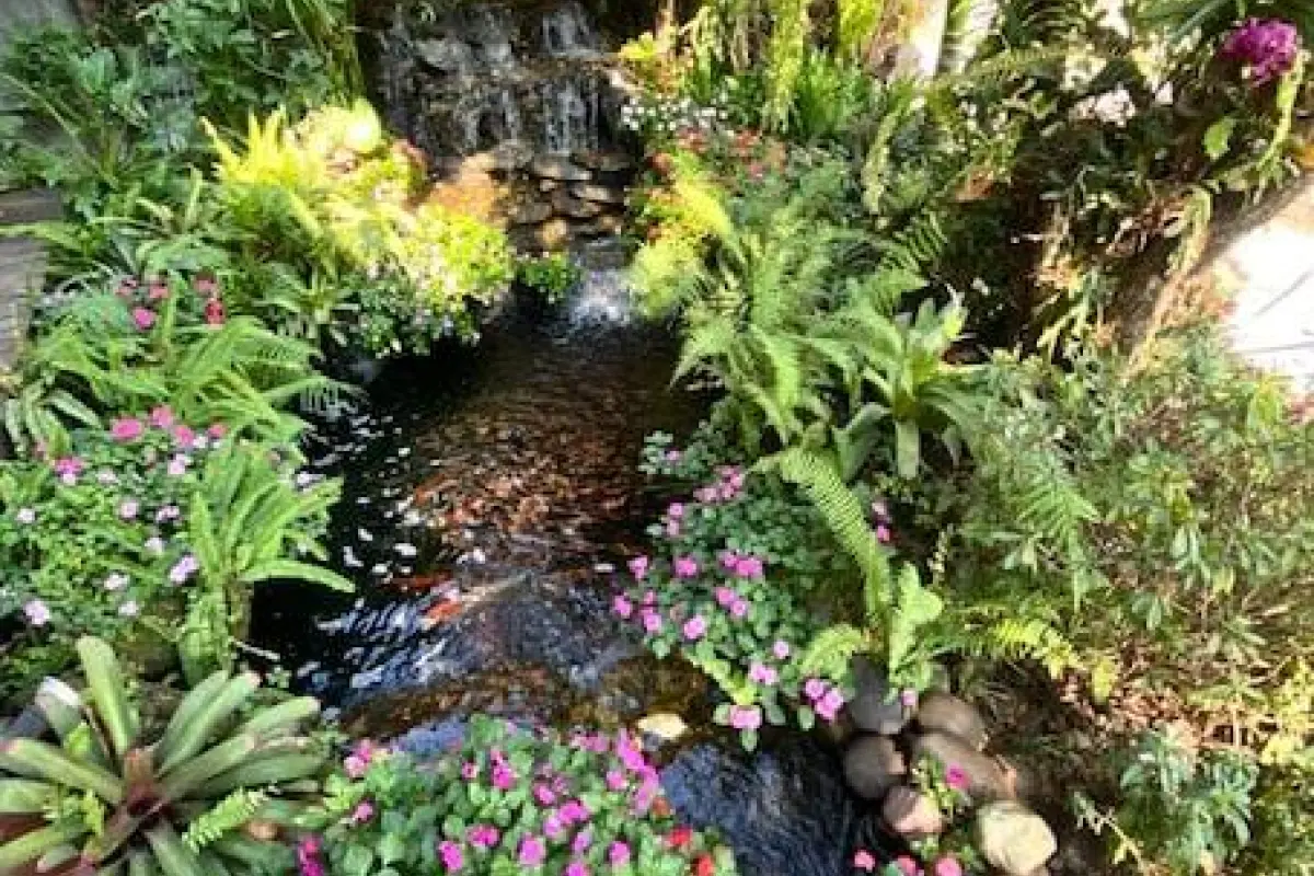 Rich Garden House Hotel – Affordable hotel in Chiang Mai