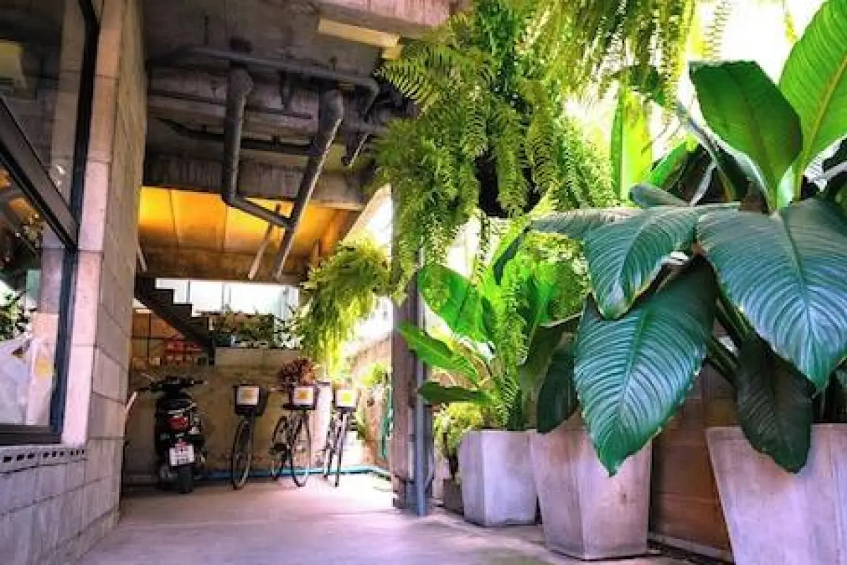 HeyHa House ChiangMai – Affordable hotel in Chiang Mai