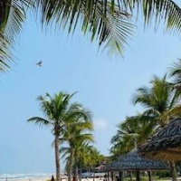 Da nang Daisy Apartment – Affordable hotel in Da Nang