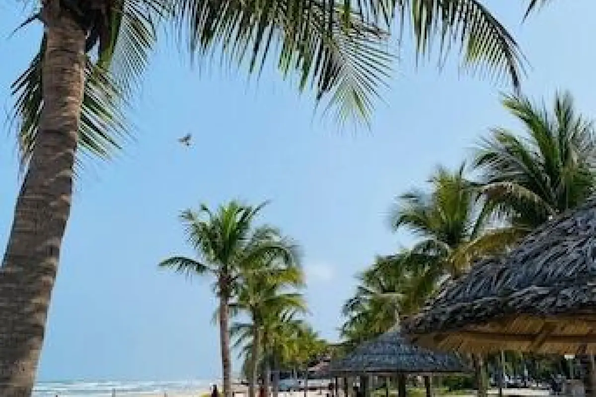 Da nang Daisy Apartment – Affordable hotel in Da Nang