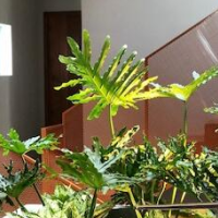 Shelter Stay Da Nang – Affordable hotel in Da Nang