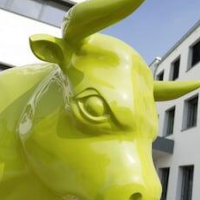 BONNOX Boardinghouse & Hotel – Affordable hotel in Bonn