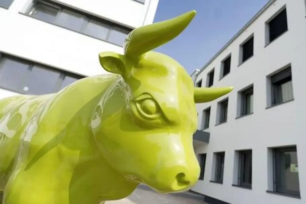 BONNOX Boardinghouse & Hotel – Affordable hotel in Bonn