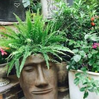 Hotel le Pavillon – Affordable hotel in Paris