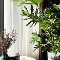 Armin Homestay Ecopark – Affordable hotel in Van Giang