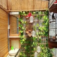 Green Homestay Ha Noi – Affordable hotel in Hanoi