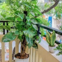 Hanoi Family Homestay – Affordable hotel in Hanoi