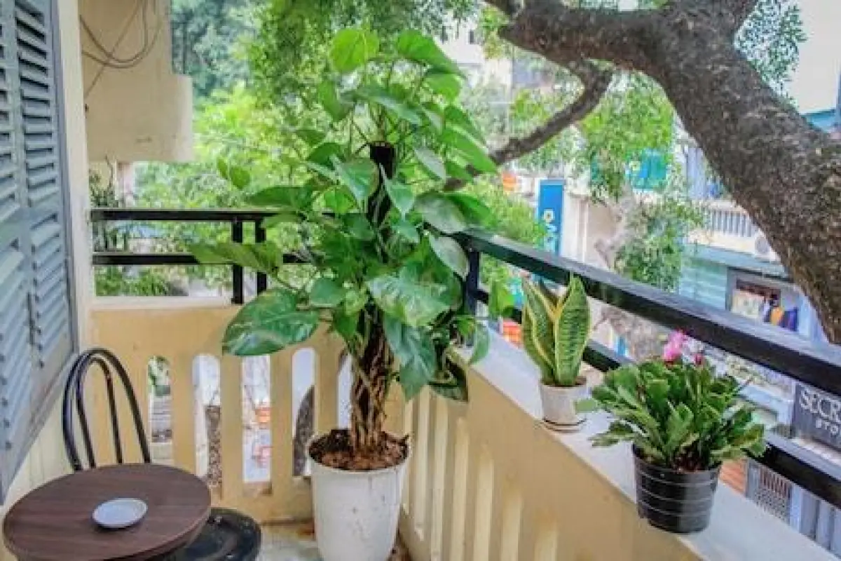 Hanoi Family Homestay – Affordable hotel in Hanoi