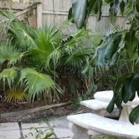 Alexander Palms Court – Affordable hotel in Key West