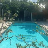 Heron House - Adult Only – Affordable Bed and Breakfast in Key West