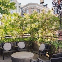 Smyth Tribeca – Affordable hotel in New York