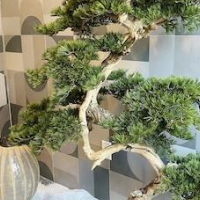 Starlight Hotel – Affordable hotel in Flushing