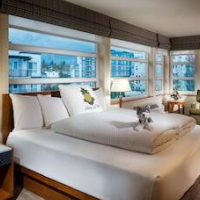 Staypineapple, Watertown Hotel, University District Seattle – Affordable hotel in Seattle