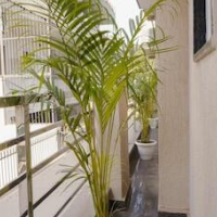 Lime Tree 2 Bhk Apartment Golf Course  – Affordable hotel in Gurugram