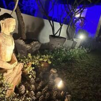 The Stay Inn New Delhi – Affordable Bed and Breakfast in New Delhi