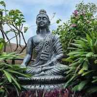 Prakash Kutir B&B – Affordable Bed and Breakfast in New Delhi