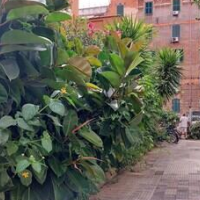 Grazioso bilocale al Vaticano  – Affordable hotel in Rome