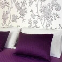 CAMEO B&b – Affordable Bed and Breakfast in Rome