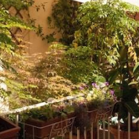 Relais Teatro Argentina – Affordable Bed and Breakfast in Rome