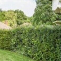 Knole B&B – Affordable Bed and Breakfast in Sevenoaks