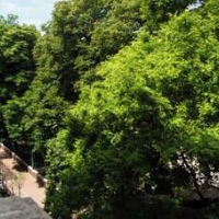 Harmonia Palace - Historic Residence – Affordable hotel in Budapest