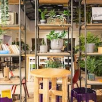 Wombat's City Hostel Budapest – Affordable hotel in Budapest