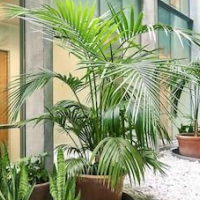 ibis Barcelona Centro Sagrada Familia – Affordable hotel in Barcelona