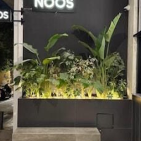 NOOS Acropolis – Affordable hotel in Athens