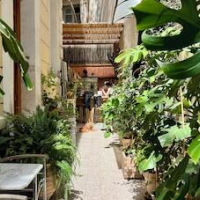 Baloo Hostel – Affordable hotel in Athens