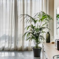 Nereids Apts by halu! Apartments – Affordable hotel in Thessaloniki