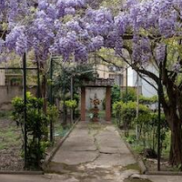 Antica Dimora Sant'Anna – Affordable hotel in Florence