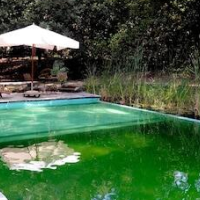 Il Poggio B&B – Affordable Bed and Breakfast in Scandicci