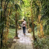 Bisma Eight Ubud – Affordable hotel in Ubud
