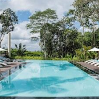 Kappa Senses Ubud – Affordable hotel in Ubud