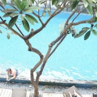 ibis Styles Bali Legian – Affordable hotel in Legian
