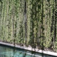 Malam Hari ApartHotel – Affordable hotel in Canggu
