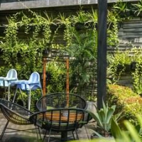 The Elementum – Affordable Bed and Breakfast in Pecatu