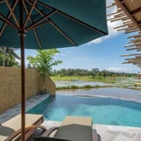 Beehouse Dijiwa Ubud – Affordable Bed and Breakfast in Ubud